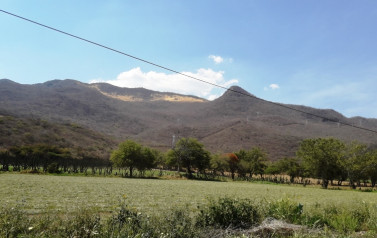 Cerro del Campanario